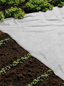 Voile de forçage 2x10m 17g/m² traité anti-uv